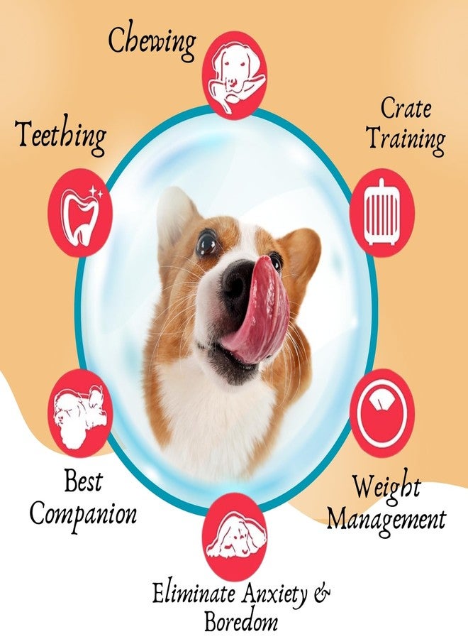 ويستيرن إرا لعبة خنزير على عظمة من العصر الغربي تصدر صوتاً عند الضغط عليها - لعبة قطيفة تفاعلية، أطلق العنان للمرح مع صديقك الأليف، رفيق مثالي للكلاب والقطط، مثالية لوقت اللعب والمضغ والتدليل، تدوم طويلاً لحيوانك الأليف المحبوب - Image 3